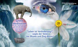 Read more about the article Veränderung + Meditation