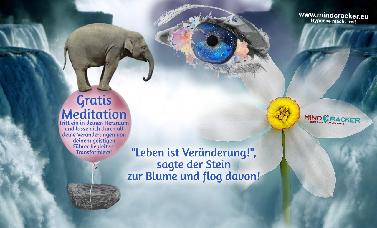 You are currently viewing Veränderung + Meditation